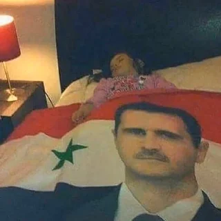 Telegram sticker 🇸🇾 Nacional-Pardista