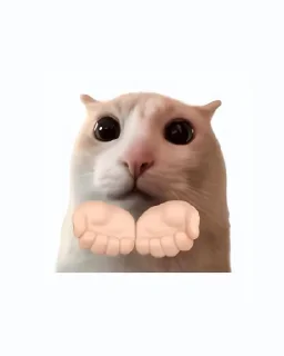 Video sticker 🤩 Created by (M4u)