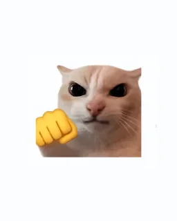 Video sticker 🤩 Created by (M4u)