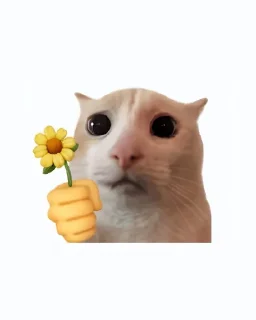 Telegram sticker 🤩 Created by (M4u)