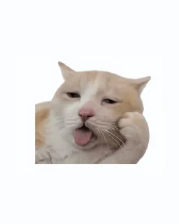 Telegram sticker 🤩 Created by (M4u)