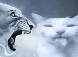 Телеграм стикер 🌟 Oh