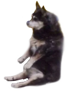 Sticker 😧 Это почти конец