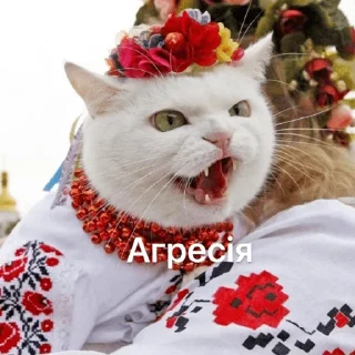 Telegram sticker 😡 Это почти конец
