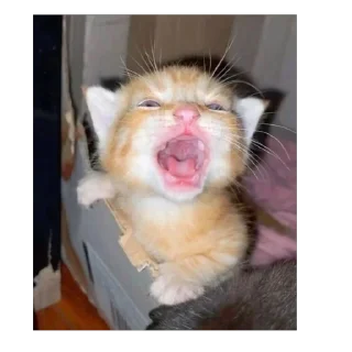Video sticker 😖 Это почти конец