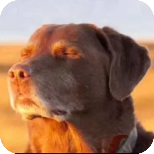 Telegram sticker 🫠 Generational photos  @Thatstoez