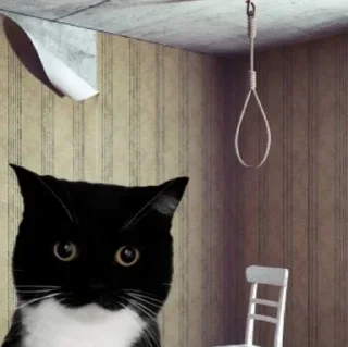 Telegram sticker 😔 Юне: @fStikBot