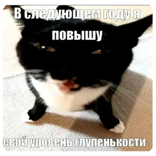 Telegram sticker 🤓 Юне: @fStikBot