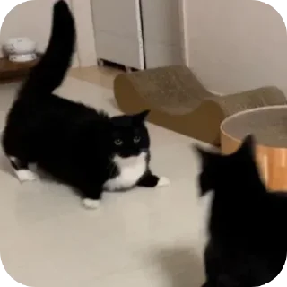 Telegram sticker 🥶 Юне: @fStikBot