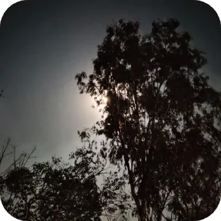 Telegram sticker 🌌 Hell yeah