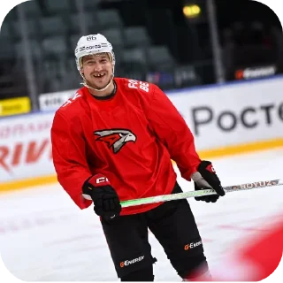 Video sticker 🏅 Гнездо ястребов (1)