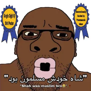Telegram sticker 🤡 Anti IRGC | Based Savaki 𓄂𓆃🦁