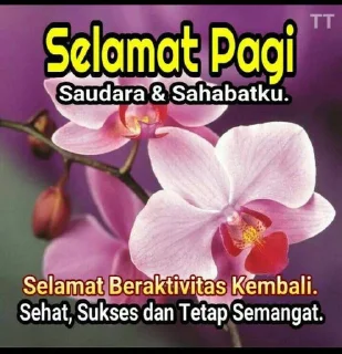 Video sticker 🌞 ucapan sungkem @foolssticker