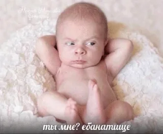 Video sticker 🌟 мае :: @fStikBot