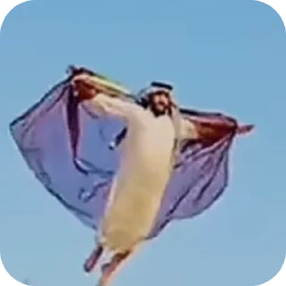 Telegram sticker 🐦 @Taha_4gh