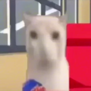 Video sticker 🗿 @Taha_4gh