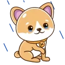 Telegram sticker 😭 uShiba.Finance