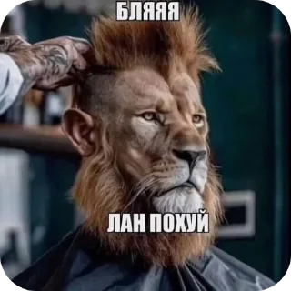 Video sticker 🖼 Смехуятина от @gw3xmarsx