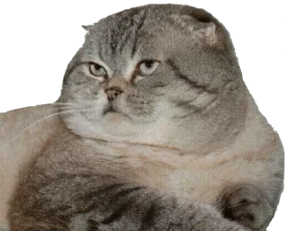 Telegram sticker 😒 kralibanka — @stckrRobot