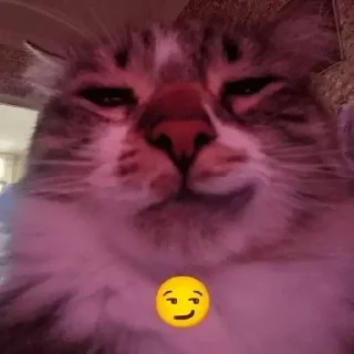 Телеграм стикер 😏 Больше стиков тут: @stikery4