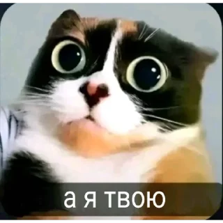 Telegram sticker 😢 Куки @stikerykw