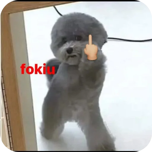 Telegram sticker 👍 ደጉ  @ke_kaloche @Evil_Dan_2_4 @fStikBot