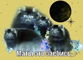 Telegram stiker 🤗 CUManyclosииир :: @fStikBot