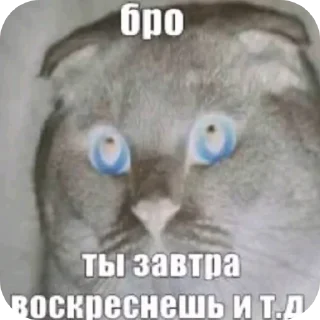 Video sticker ❤ брэндан 😃🖐️ (все рисунки в паке не мои :рр)