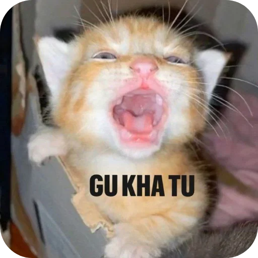 Telegram sticker 🐱 @shinobu_uchiha_official