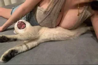 Video sticker 🍑 @VLAGA_STICK 👈 Там ВСЕ стикеры❤️