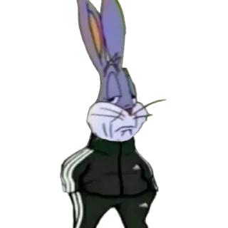 Video sticker 😕 Teste :: @fStikBot