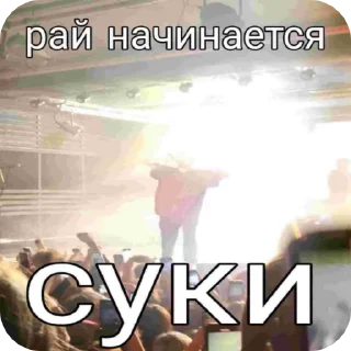 Video sticker 🌟 илюхо 23.11 тгк: lika_pozornik