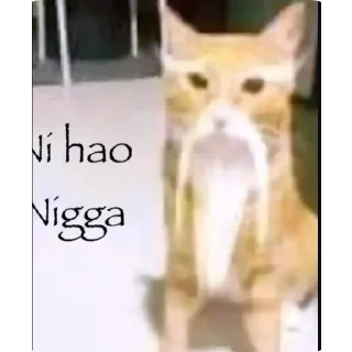 Video sticker 🤲 Premium Pack @Square_Matrix089