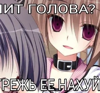 Video sticker 😏 Няшки :: @fStikBot