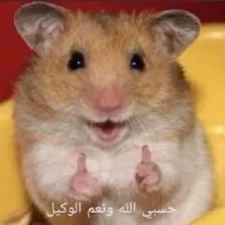 Telegram sticker 🤍 @HYYYO