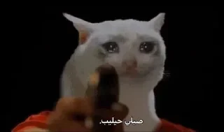 Telegram sticker 🥺 @HYYYO