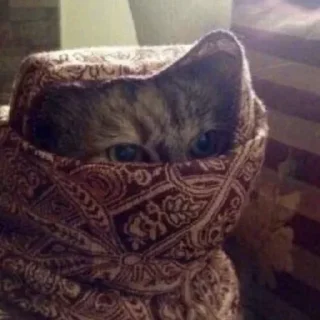 Telegram sticker 🙂 @HYYYO