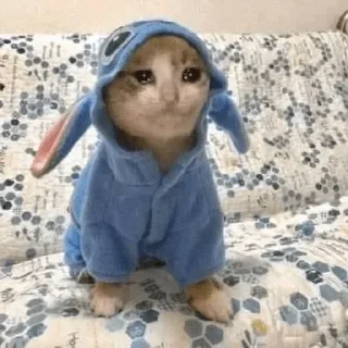 Telegram sticker 😂 @HYYYO