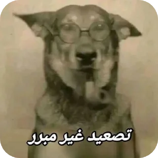 Video sticker 🖼 Maxenosh