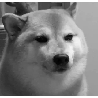 Telegram sticker 😞 Random