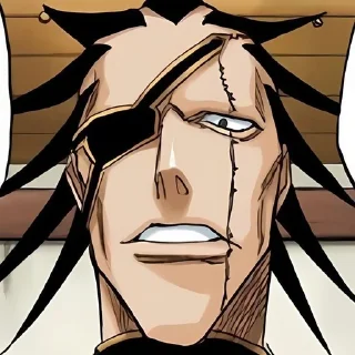 Video sticker 🐈‍⬛ 𝗸𝗲𝗻𝗽𝗮𝗰𝗵𝗶 𝗽𝘁.2(@bleachstickerss :: @fStikBot