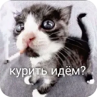 Telegram sticker 🚬 Вечно день
