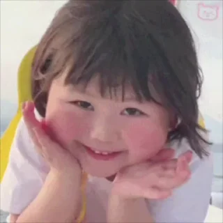 Video sticker 😆 茶茶贴贴1