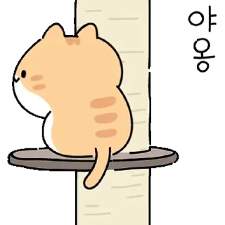 Video sticker 👍 @KakaoEmoji 연결티콘 : 고양이가 주렁주렁