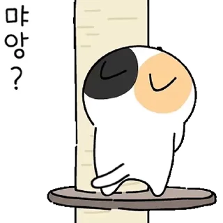 Video sticker 👍 @KakaoEmoji 연결티콘 : 고양이가 주렁주렁