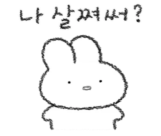 Telegram sticker 💬 토심이는 토뭉이랑 놀거야 By @KakaoEmoticon)
