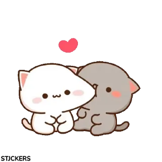 Video sticker 😽 @stjckers شماره مجازی ارزان👉🏼 @Majazinoo_accbot