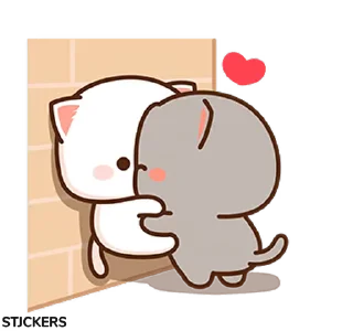 Video sticker 😽 @stjckers شماره مجازی ارزان👉🏼 @Majazinoo_accbot