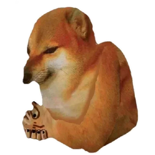 Telegram stiker 😁 NigaSuke [@The_LastUchiha]