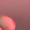 Video sticker 😍 https://t.me/Malvi...